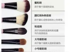化妆刷科普贴 这个绝对要知道！图片