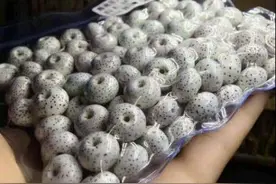 星月菩提商家的5大套路！不可不防！图片