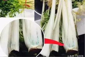 葱花“有染”？每天吃的大葱也有问题？图片