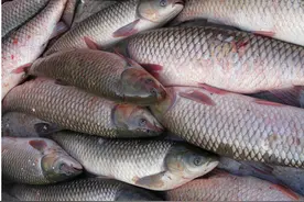 梦境与现实都是相反的，小心梦里发财，实则破财图片