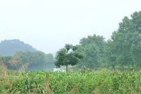 探钓野河  狂拉溪哥图片