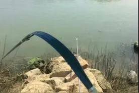 传说中的爆竿不跑鱼，还是玻璃钢鱼竿！图片