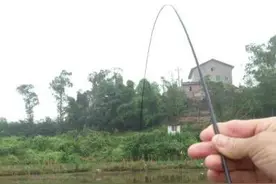 啪的一下鱼竿断了，看看鱼有多大？图片