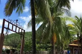 爱上三亚美景，爱上三亚海鲜，更爱三亚的慢生活图片