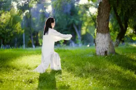 太极拳架当中勾、套、踩、跪、缠、蹬、踢、踹的竞技含义图片