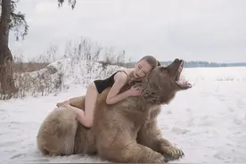大灰熊和俄罗斯美女在雪地拥抱图片