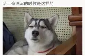 狼和哈士奇的区别，看完我都笑哭了！图片