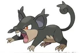 《精灵宝可梦 太阳/ 月亮》阿罗拉地区  小拉达新形态图片