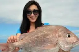 钓鱼界十大美女钓友！图片