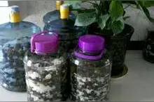 自酿葡萄酒要不要加入添加剂（酵母、SO2），用一个案例告诉你图片