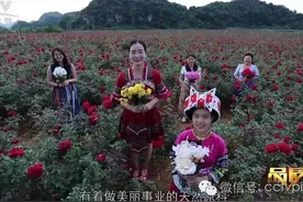 像花儿一样美丽图片
