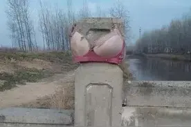 搞笑集锦：在农村看到的一幕，佩服村里人的创造力！图片