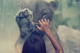 情感|爱一个人就要爱他的所有 ，包括白发与皱纹图片