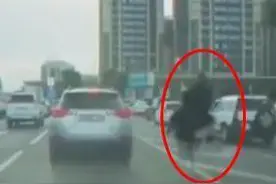 上班路上堵车难忍 男子竟然骑鸵鸟上班图片