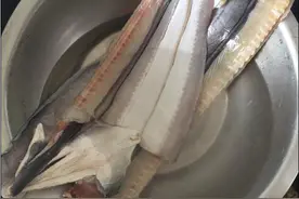 老公给我做的红烧舟山鳗鱼，特别好吃。图片
