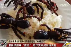 黑暗食物蜘蛛盖饭，你敢挑战吗？图片