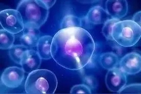 液体活检的“太子”们：ctDNA 与CTC图片
