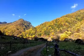 秦岭宁陕漫沟｜中秋过后，板栗熟了，掉落一地图片