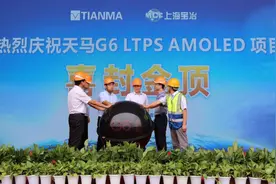 天马G6项目产线提前封顶，国产AMOLED再添新军图片