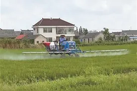 易弃难收，瓶瓶袋袋令人忧图片