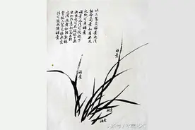兰花画法详解图片