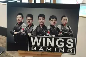 Wings专访 ：跳刀拿到卡尔或白虎 就看到了胜利图片