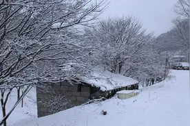 宁波四明山率先飘起雪花，市区还远吗？图片