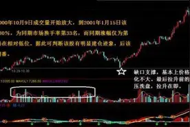 如何洞察成交量的变化捕捉黑马? 简单易懂逢买必赚图片
