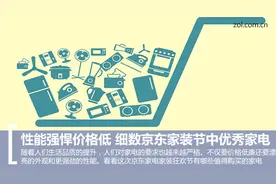 性能强悍价格低 细数京东家装节中优秀家电图片