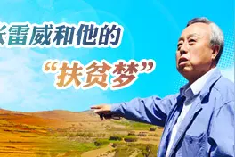 钦州城郊供电农网改造升级助新农村建设图片