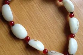 这是菩提根图片