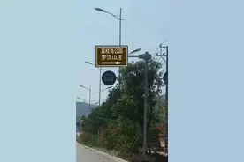 漳州罗汉山庄，咖啡香飘两岸图片