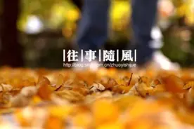 原创｜往事随风图片