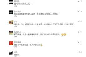 Z3 vs 极客，谁是谁的同款？图片
