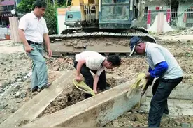 筹款千万 重建江氏大宗祠图片