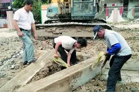 筹款千万 重建江氏大宗祠图片