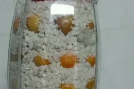 咸金橘（咽炎必备良药）的做法步骤图片