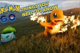 Pokemon GO封玩家账号 今官方给出解释图片