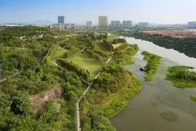 衢州，有一座会“呼吸”的公园图片