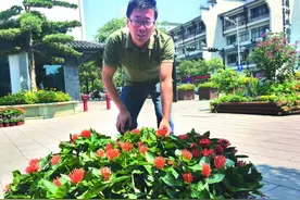 水亭街“鲜花风情小镇”美翻了图片
