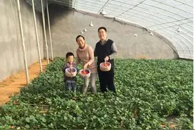 沂水农旅融合 带旺乡村旅游图片