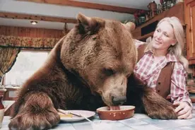 英国无子女家庭养棕熊当后代，会喝茶饮酒吹蜡烛，死后编成书图片