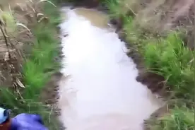 小水沟也撒网来抓鱼图片