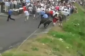 斗牛搞笑集合，美女的裙子都斗破了！图片