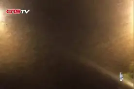 罕见景象 亿万只飞蛾暴生暴毙原是自然因果视频封面