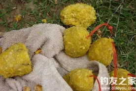 海竿爆炸钩的打窝和用饵配方技巧图片