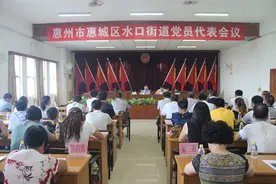 水口街道召开党代表选举大会图片