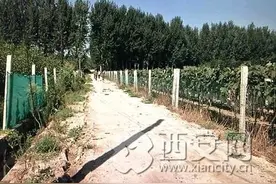 追踪：太平河村人头蜂窝昨日摘除图片