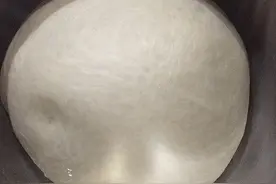 肉松芝士面包的做法图片