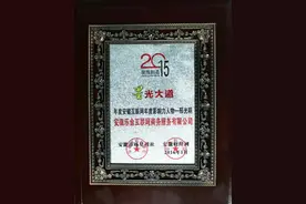 邢光朋荣获“星光大道·2015安徽互联网年度影响力人物”图片